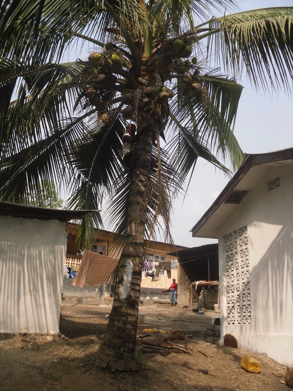 Sierra Leone village